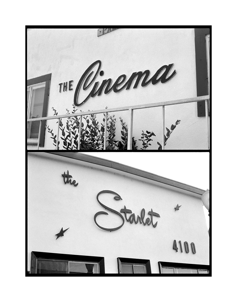 the cinema  the starlet.jpg